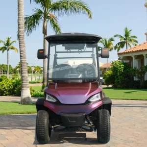 2 Seaters Electric Golf Carts with Chinese Motorized 72v Lithium Battery Motor Electric Golf Buggy Car