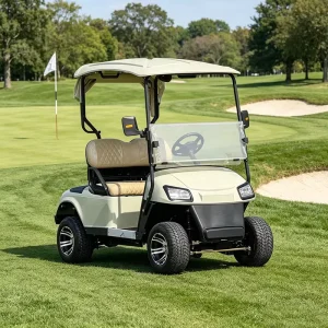2 Seats Electric Golf Cart Electric Powered Lithium Battery Electric Golf Scooter Electric Carts for Adults