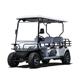 2 Stroke 4 Seater Electric Golf Cart 48V Lithium Battery 90km Range Street Legal Mini Buggy