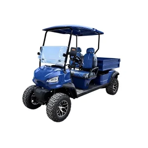 2-seat Electric Golf Carts for Scenic-area Tourism Beach Off-roading & Sightseeing Tours 30-50Km/h 30km Driving Range