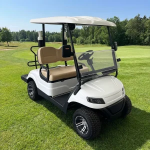 2-seater Electric Golf Cart Customized for Golf Courses with 48V/60V/72V Batteries and CE Certification