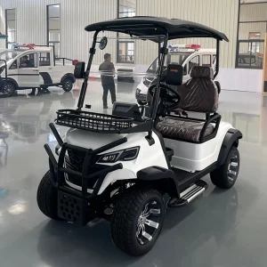 2 seater Electric Golf Cart with 72V Battery CE Certified Customized for Golf Courses GCC