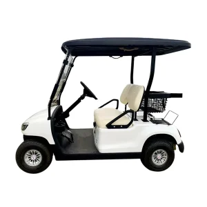 2 seater Small Golf Cart Practical and Convenient Golf Cart