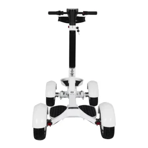 2000W 4-Wheel Electric Scooter for Golf Foldable Golf Bag Cart with Seat Portable Golf Caddy Vehicle