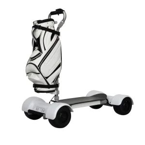 2000W Foldable Electric Golf Scooter 10 Inch Single Seat Four Wheels Portable Electric Trolley 30km h Max Speed 150kg Removable