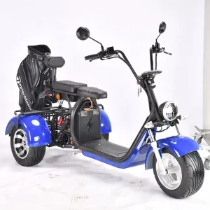 2000w 60v12AH/20AH Li-ion Battery Three Wheel Electric Scooter with Golf Bag Holder Fat Tire Golf Carts Golf Trolleys