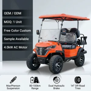 2+2 4 Seater Electric Golf Cart 4.0kW AC Motor 60V 100Ah Battery Street Legal Low Speed Vehicle Golf Car