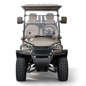 2+2 Seat Buggy Golf Cart Street Legal Lithium Battery Powered Golf Cart 4 Seater Passenger Whanlong Golf Carts Electric
