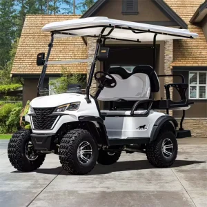 2+2 Seats Electric Lifted Golf Cart Hunting Car with Powerful 5.6KW AC Motor USA Controller Electric Golf Cart
