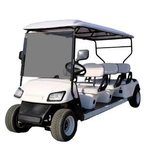 3-4 Seater 2 Stroke Engine Golf Cart