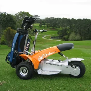3 Wheel Mini Electric Golf Cart Single Seat Golf Buggy