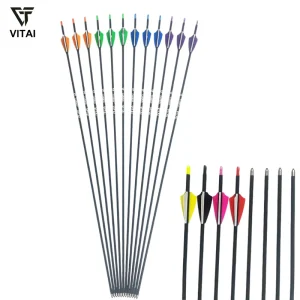 30 Inch Archery Practice Arrows Mixed Carbon Shaft with 2 Inch Rubber Vanes and Steel Point