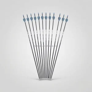 30 inch Carbon Arrows for Recurve Bow and Crossbow Archery Clubs Durable Shafts for Repeated Target Hits