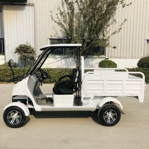 3kw Lithium Lead Acid Battery Electric Open Body Golf Cart Pick up Cargo Truck