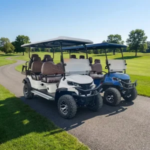 4 6 Seat Electric Golf Cart with Offroad Tires 48v AC System for Trolleys