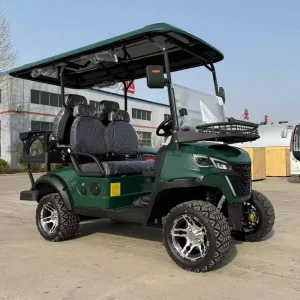 4 Electric Lithium Battery 2 Seater Golf Cart with 60V AC Motor Heavy Duty Utility and LED Lights for Hotel Park Course Campus