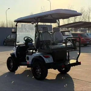 4 Electric Lithium Battery Golf Cart with 48V AC Motor Heavy Duty Utility and LED Lights for Campus Airport Factory Warehouse