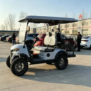 4 Electric Lithium Battery Golf Cart with 48V AC Motor Heavy Duty Utility and LED Lights for Campus Airport Hotel Park