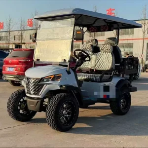 4 Electric Lithium Battery Golf Cart with 48V AC Motor Heavy Duty Utility and LED Lights for Campus Hotel Park Farm