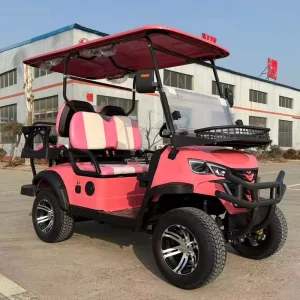 4 Electric Lithium Battery Golf Cart with 48V AC Motor Heavy Duty Utility and LED Lights for Campus Hotel Park Ranch