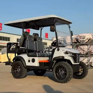 4 Electric Lithium Battery Golf Cart with 60V AC Motor Heavy Duty Utility LED Lights EEC Certified for Hotel Park Airport Ranch