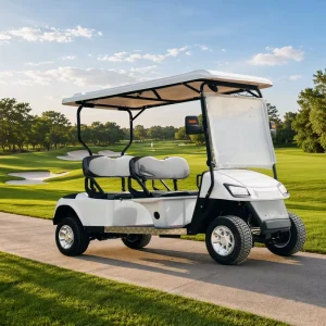 4 Passenger Electric Golf Cart 60V 3.5kW AC Motor 80 100km Range Factory OEM ODM