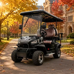 4 Passenger Electric Golf Cart with RWD 60V AC Controller Bluetooth Audio Custom Color Support for Resort