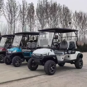 4 Persons Golf Cart Scooter 4 Seats Electric Golf Carts Golf Carts