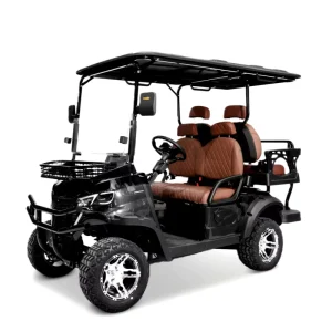 4 Seat Electric Golf Cart Custom Color Electric Sightseeing Car for Hotel Holiday Village
