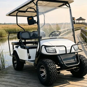 4 Seat Electric Golf Cart for Low Budget