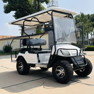 4 Seat Electric Golf Cart for Reputation