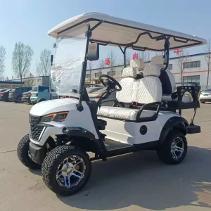 4 Seat Electric Lithium Battery Golf Cart with 60V AC Motor Heavy Duty Utility LED Lights CE Certified for Hotels Parks Stadiums