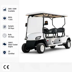4 Seater 300CC Gasoline Golf Cart Gas Powered Golf Car for Golf Course Resort Hotel Sightseeing OEM ODM