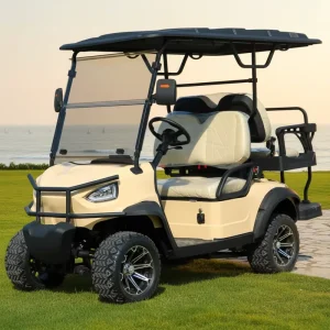 4 Seater 48V Customizable Lithium Electric Golf Cart with Color for Resort or Home Use