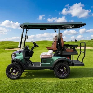 4 Seater 48V Lithium Battery 4000W Brushless Motor Low Vibration Smooth Running Villa Community Daily Transportation Golf Cart