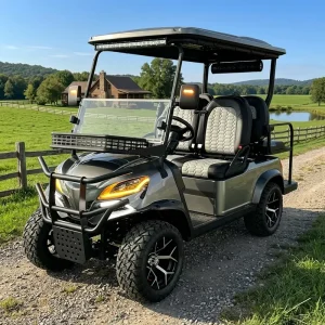 4 Seater 6 3 Person Electric Golf Carts Prices Buggy Car for Sale Chinese Retro Golf Cart