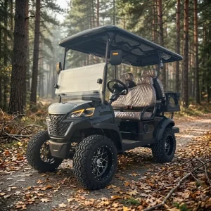 4 Seater Customizable Golf Cart Made in China