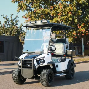 4 Seater Customized Electric Golf Cart High Speed Off Road Club Car with LiFePO4 Lithium Battery and Hydraulic Brake