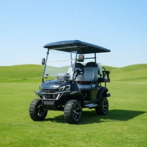 4 Seater Customized Electric Golf Cart Street Legal Off Road with LiFePO4 Lithium Battery & Hydraulic Brake