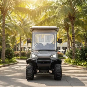 4 Seater Customized Electric Golf Cart Street Legal Off Road with LiFePO4 Lithium Battery & Hydraulic Brake