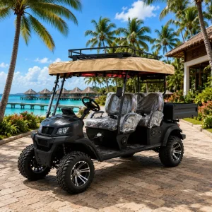 4 Seater Electric Golf Cart 48V/60V/72V Lithium Battery Street Legal LSV Resort/Community Use 30-50km/h 90km Range CE Dot Eec