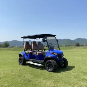 4 Seater Electric Golf Cart 48V Customized High Quality Street Legal Golf Cart for Resort and Golf Course