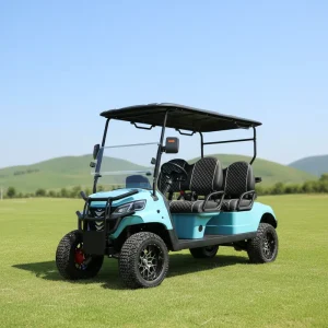 4 Seater Electric Golf Cart 48V Customized Street Legal for Resort and Family