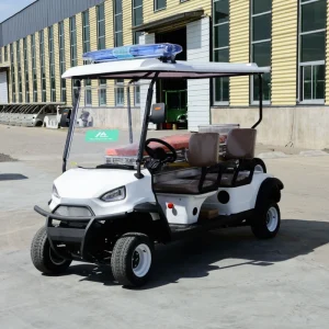 4 Seater Electric Golf Cart for Sale Best for Family Resort and Commercial Use