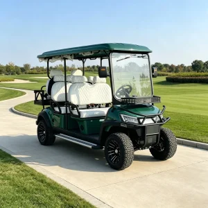 4 Seater Electric Golf Cart with Custom Body Color and Rear Cargo Box Extra Storage 72V Lithium DOT Approved