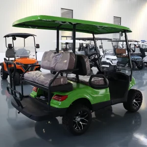 4 Seater Golf Cart with Lithium Battery Electric Sightseeing Bus Vehicle