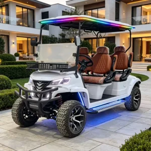 4 Seater Lithium Powered 48V Professional Golf Cart Electric Golf Cart Off Road Golf Buggy 30-50Km/h 70-90km
