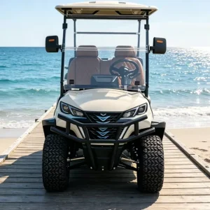 4 Seater Lithium Powered 48V Professional Golf Cart Electric Off Road Golf Buggy 30 50Km h 70 90km