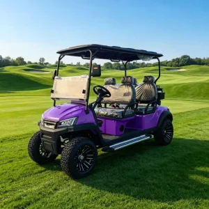 4 Seater Lithium Powered 48V Professional Golf Carts Sale Electric Golf Cart off Road Golf Buggy 30-50Km/h 70-90km