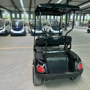 4 Seats Golf Cart 20kw Power 30km h Speed 1 10t Load Capacity